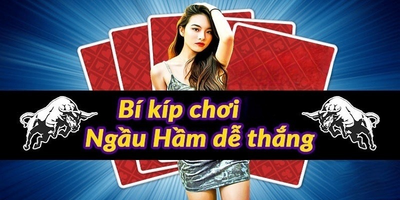 Bí kíp ngầu hầm cực hay giành cho tân binh